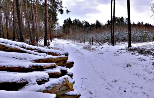 Droga w stronę dawnej osady Charlottenberg, w śnieżnej osłonie. Kawałek dalej w prawo.