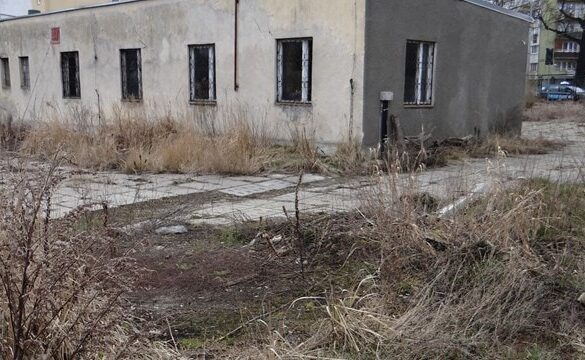 Zdjęcie sprzed 2011 roku, opuszczone już zabudowania po fabryce zaadaptowane po wojnie przez Zieleń Miejska.