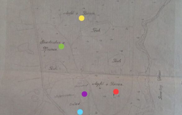 Mapa obejmuje Obstanlage on der Wussower Strasse. Kropki: zielone- wiśnie i śliwki; żółte- gruszki i jabłka; czerwone- gruszki i jabłka; różowa- czereśnie; fioletowy- farma; błękitny- teren zalesiany.
