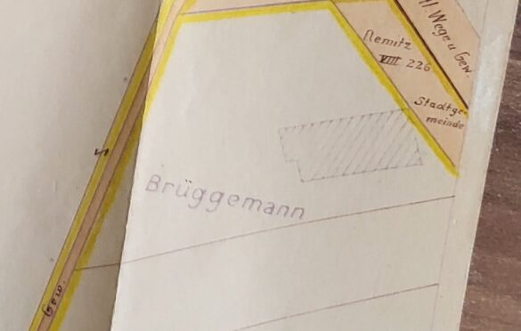 Cały teren nalezacy do Rodziny Brüggemann.