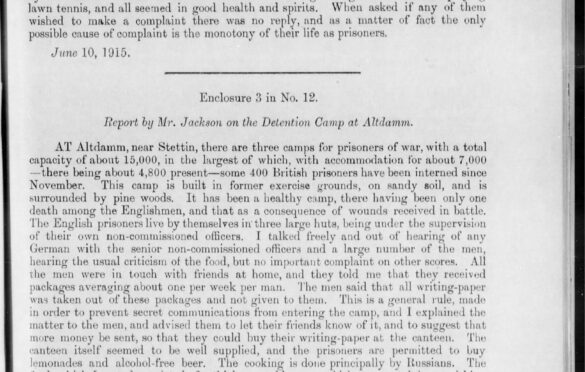 Raport z sytuacji w obozie z 1915 roku
