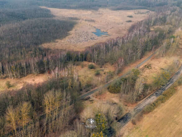 Dawny Sulisław (Böningshof / Böhningshof) mielibyśmy w centrum kadru