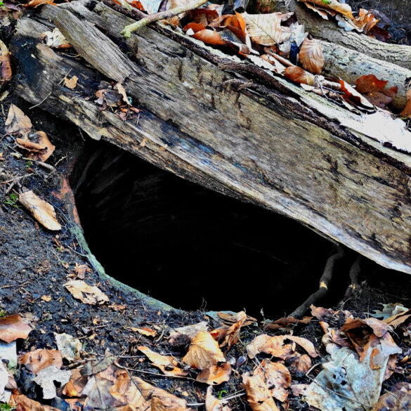 Warto patrzeć pod nogi, w dawnej zabudowie kryje się otwarta studnia lub kanalizacja