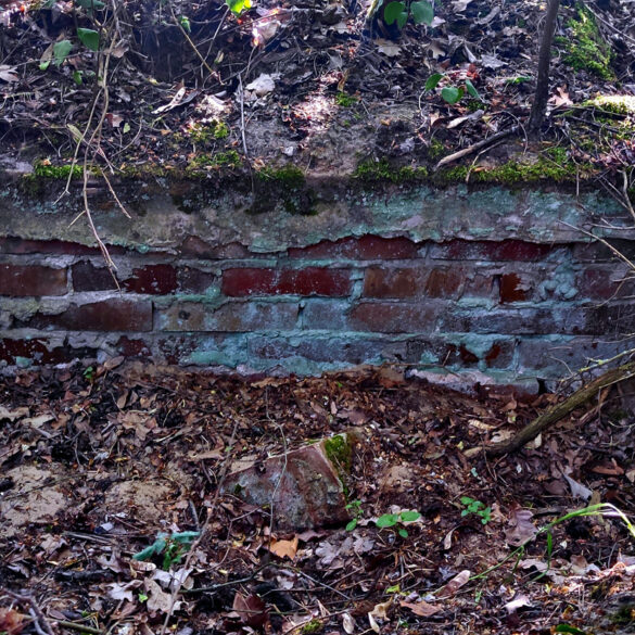 Wśród pozostałości widać też ceglane wnętrza dawnych ram grobowych