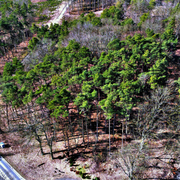 Widok z drona na dawne Herzberg, dzisiejszą Górę Sercową