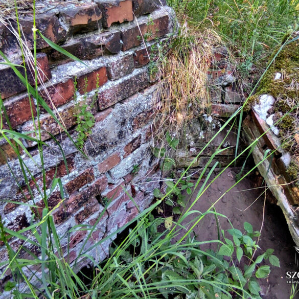 Stare studnie lub fundamenty mogą być groźne dla nieostrożnych