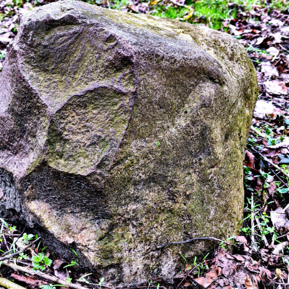 Kamień po jakiejś formie obróbki na ruinach Karpiner Krug