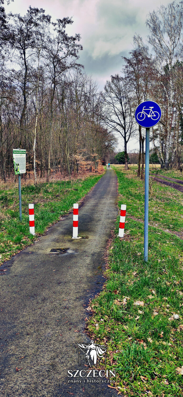 Ścieżka rowerowa w pobliżu dawnej linii kolejowej