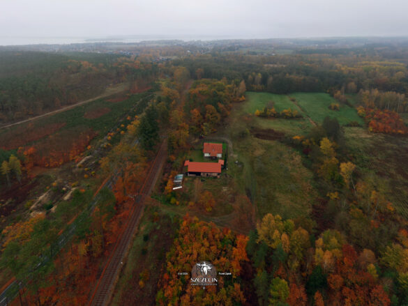 Lotniczy widok z dawnej leśniczówki Herzberg (Pienice) w stronę Małej Trzebieży (Klein Ziegenort) w tle