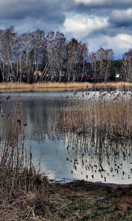 Niewielka plaża przy jeziorze Bartoszewo (Barmsee)