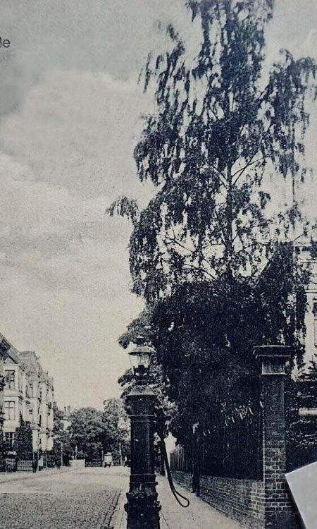 Zapisana w bazie Fotopolski pocztówka z aukcji internetowych, willa wystaje za drzewem, po prawej