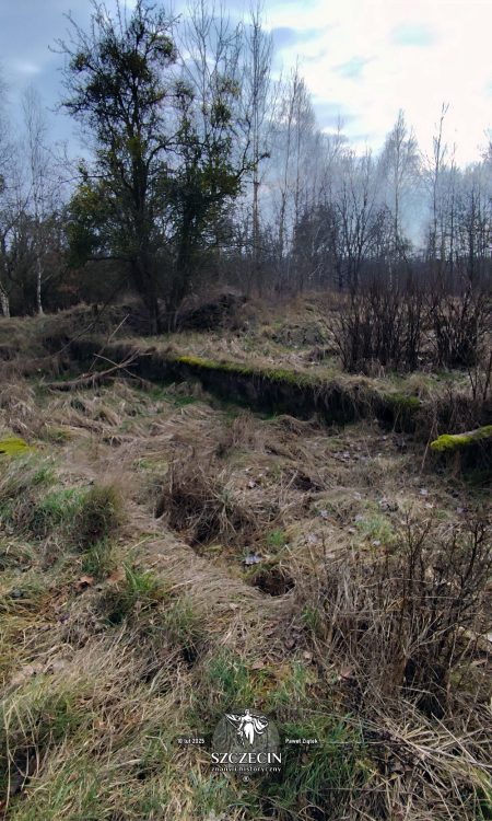 Fundamenty dawnego folwarku zobaczymy po zachodniej stronie - od jeziorka