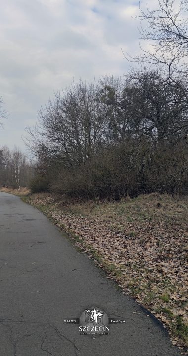 Dzisiaj przez środek dawnego folwarku Böhningshof przebiega ścieżka rowerowa