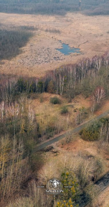 Dawny Sulisław (Böningshof / Böhningshof) mielibyśmy w centrum kadru