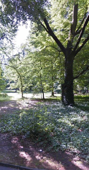 Bez żadnej szkody dla drzew między dwoma alejkami, na pustej łące mogłaby powstać kwatera...