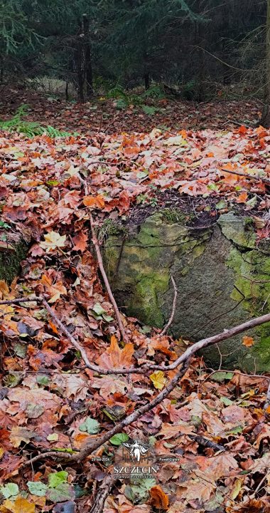 Ruiny piwniczki pod jednym z budynków dawnego Forsthaus Augustwalde