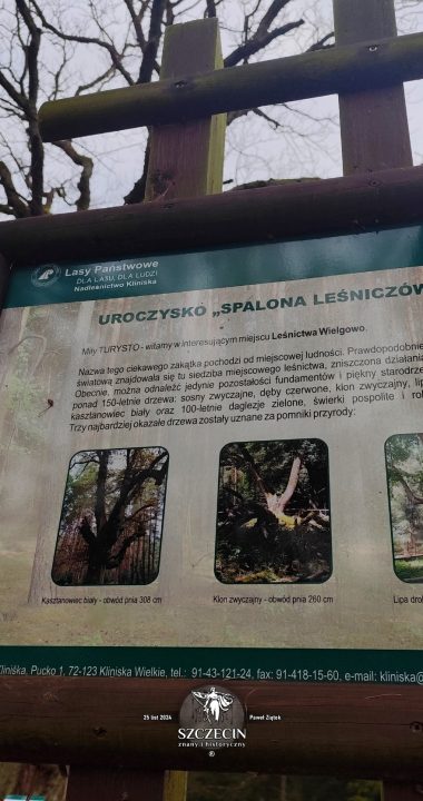 Jedna z kilku tablic informacyjnych ustawionych wokół ruin leśniczówki