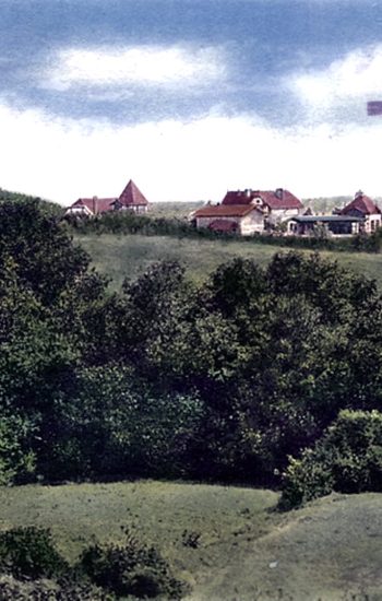 Ręcznie kolorowana pocztówka z początku XX wieku z widokiem na Forsthaus Eckerberg