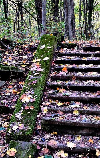 Po leśniczówce pozostało kilka stromych schodów prowadzących do nikąd
