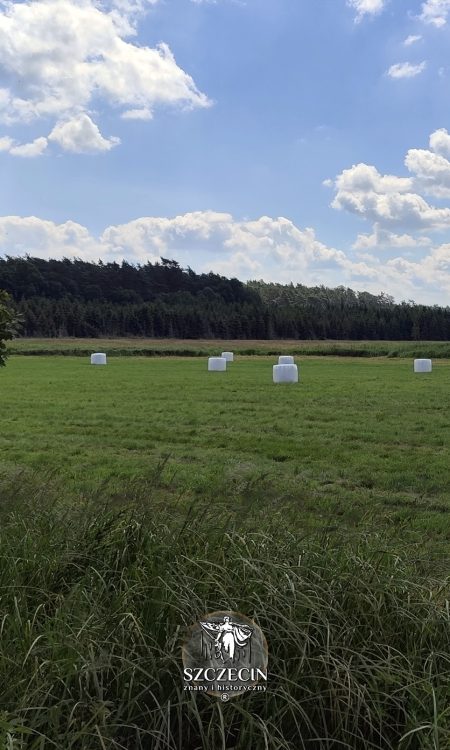 Wokół pałacu wciąż koszone są pola, a strumienie zapełniają się wodą