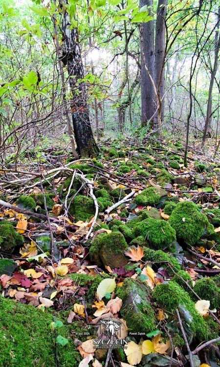 Stara część majątku Stuthof była zbudowana na fundamentach z głazów - do dziś widać łączenia z cegłami