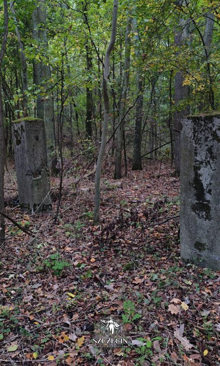 Północno zachodnia część majątku i stojące do dziś dwie spore kolumny, prawdopodobnie trzymające bramę i płot