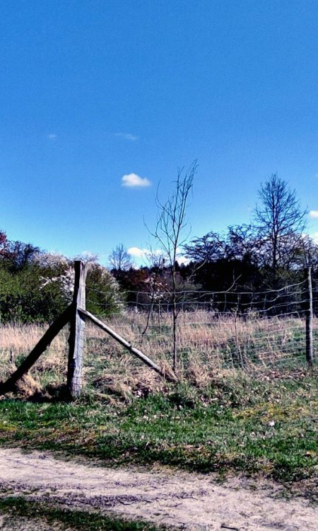 No cóż, fotografii ewentualnych ruin folwarku nie dam rady zrobić - teren prywatny