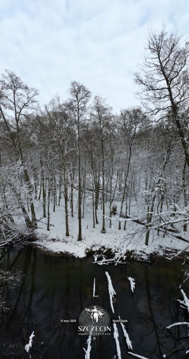 Kiedyś nad Płonią debatowano i decydowano o ataku lotniczym na Polskę, dziś? Drzewa!