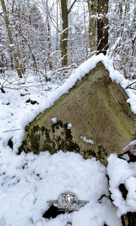 Pozostałości zabudowy okolicznych budynków wokół ruin po pałacu