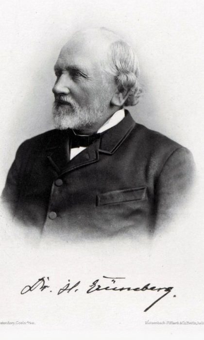 Hermann Julius Grüneberg