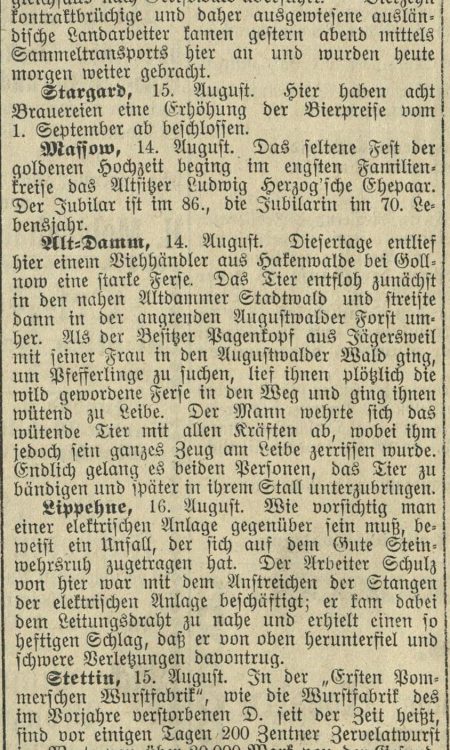 Wzmianka o ucieczce dzikiej świni i ataku na właściciela Pagenkopf z Jägersweil, 1906