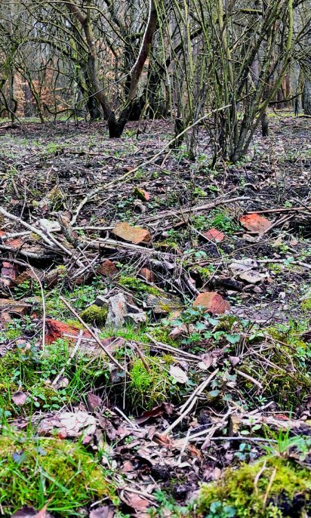 Rumowisko cegieł i resztek zaprawy na lokalizacji Karpinek, dawnym Carpin Krug