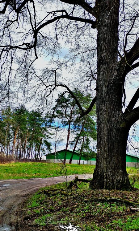 Okolica południowo zachodniej części, obok zakładu produkcji