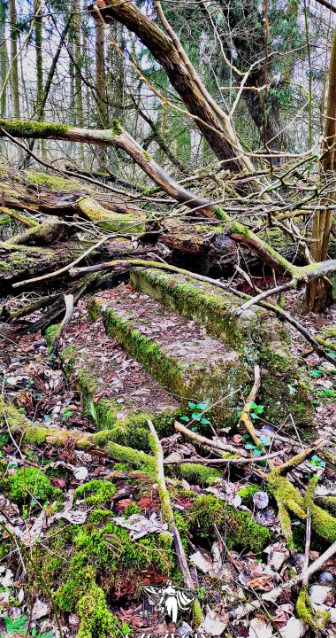 Takie fotografie ciekawią - schodki? Dokąd? Do czego? Gdzie prowadziły? Kto nimi chodził?