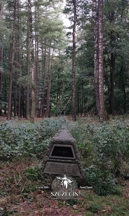 Ciekawie wygląda układ drzew - jest ich za pomnikiem mniej, tak jakby miejsce katastrofy mogło być dokładnie tu