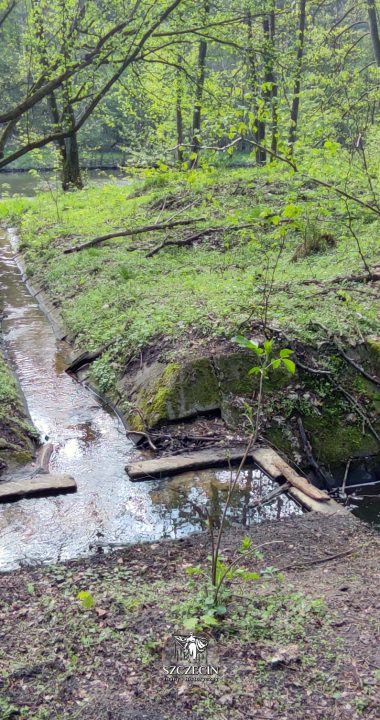 Kanał z spiętrzeniem przy północnym stawie obok dawnego Klappmühle