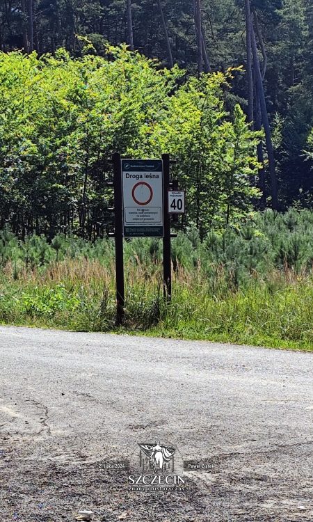 Mimo, że droga na Kammerberg / Lehmkuhlen jest asfaltowa to droga leśna, z zakazem wjazdu postronnym