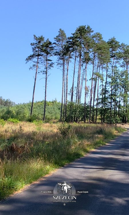 W lewo na Komorze Góry, a w prawo na Stare Leśno, za rogiem będzie Kammerberg