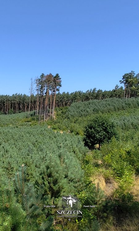 Widok na Komorze Góry (Kammer-Berge), pofałdowany teren na południowy wschód od Tanowa