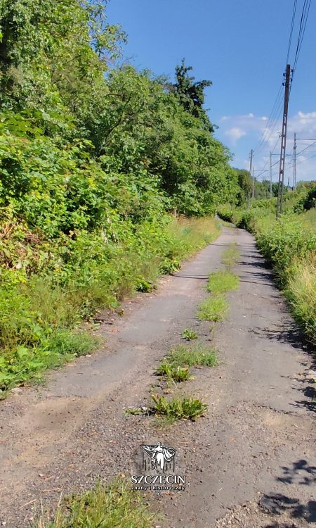 Niepozorna uliczka na północy miasta, zmieści się jeden pojazd, po bokach krzaki i linia kolejowa