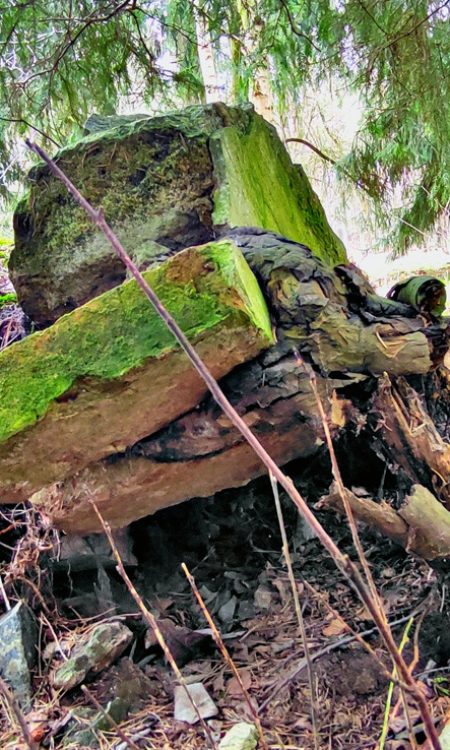 Jak silna potrafi być natura? Bez problemu unosi starą zabudowę...