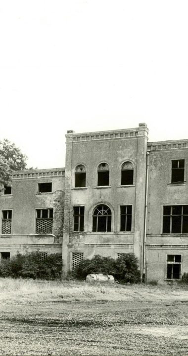 Fotografia ruin pałacu z 1986 roku autorstwa Krzysztofa Gołębickiego, z opracowania