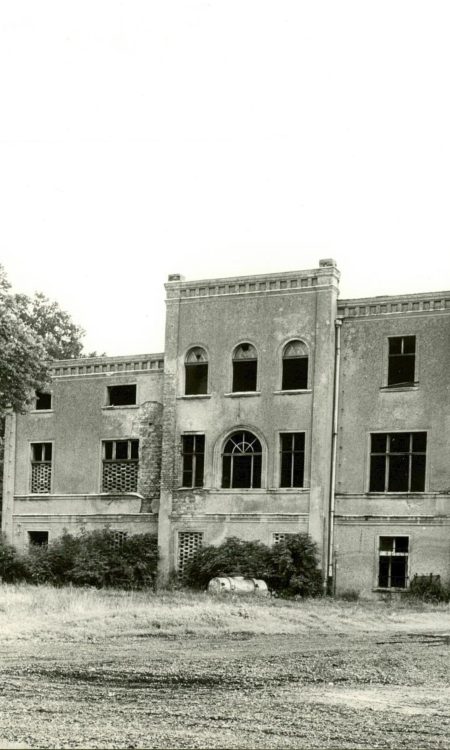 Fotografia ruin pałacu z 1986 roku autorstwa Krzysztofa Gołębickiego, z opracowania