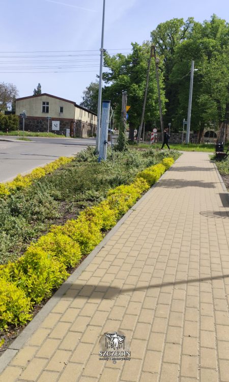 Ulica Misia Wojtka w Szczecinie dziś jest zadbana - są chodniki i zieleńce