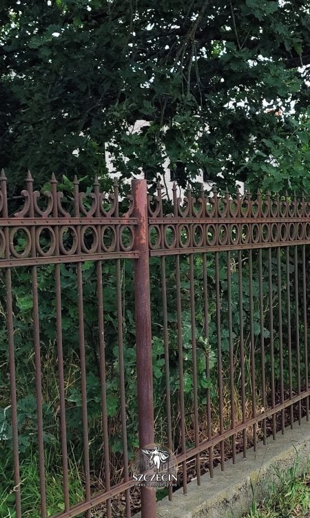 Od głównej ulicy Mierzyna mamy wyglądające na stare ogrodzenie przed zarośniętym terenem młyna