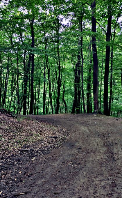 Idąc od Skolwina dochodzimy do ostrego łuku w lewo, kawałek dalej po prawej stał młyn