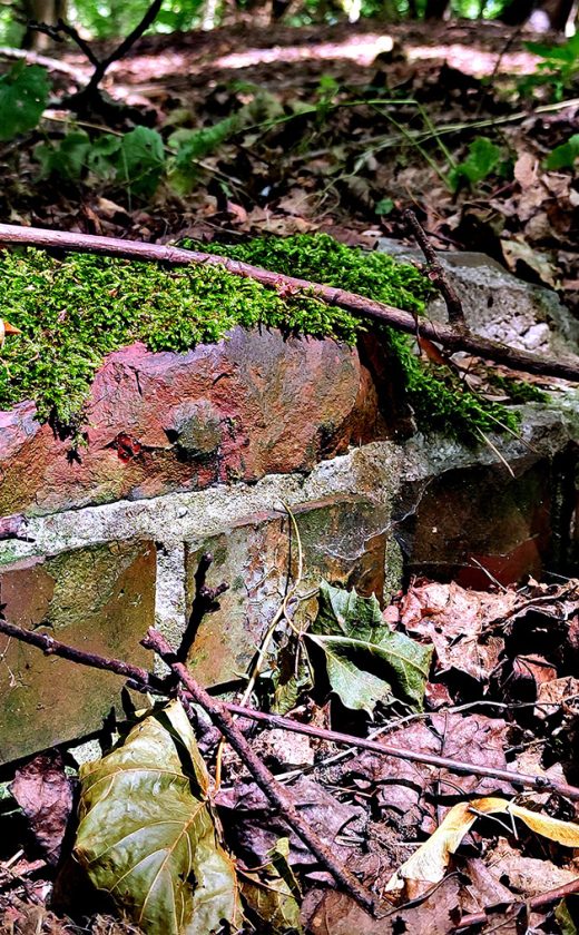 Ruiny domu zdrojowego łatwo zauważyć - to niewielka górka obok drogi