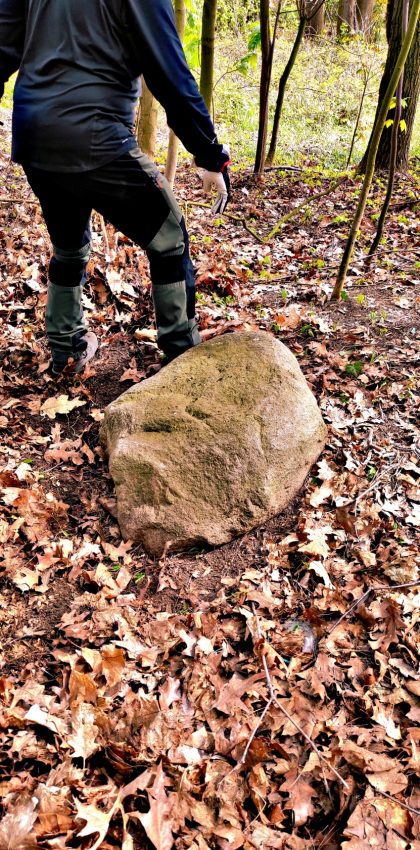 Z początku głaz wyglądał jak typowy kamień - przewrócony i zapomniany prawdopodobnie od wielu dekad