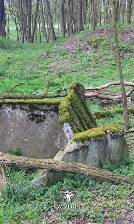 Pozostałości w okolicach szańca obrony przeciwlotniczej między Gut Schwabach, a wsią