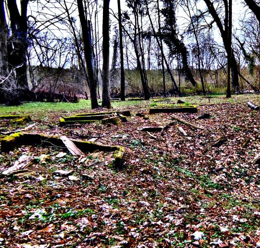 Dawny cmentarz Zedlitzfelde i niestety widoczny charakterystyczny dół